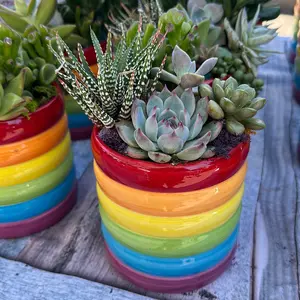 Stacked Rainbow Planter My Succulent Shop House plant or Succulent Planter - Succulents INCLUDED!!!