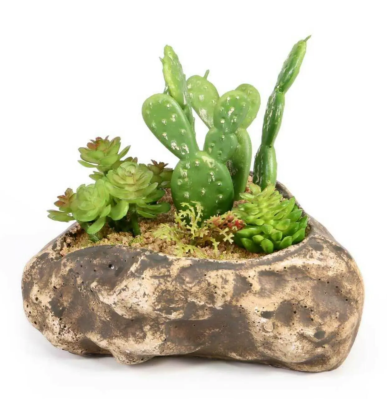Succulent Garden Reptile Decor