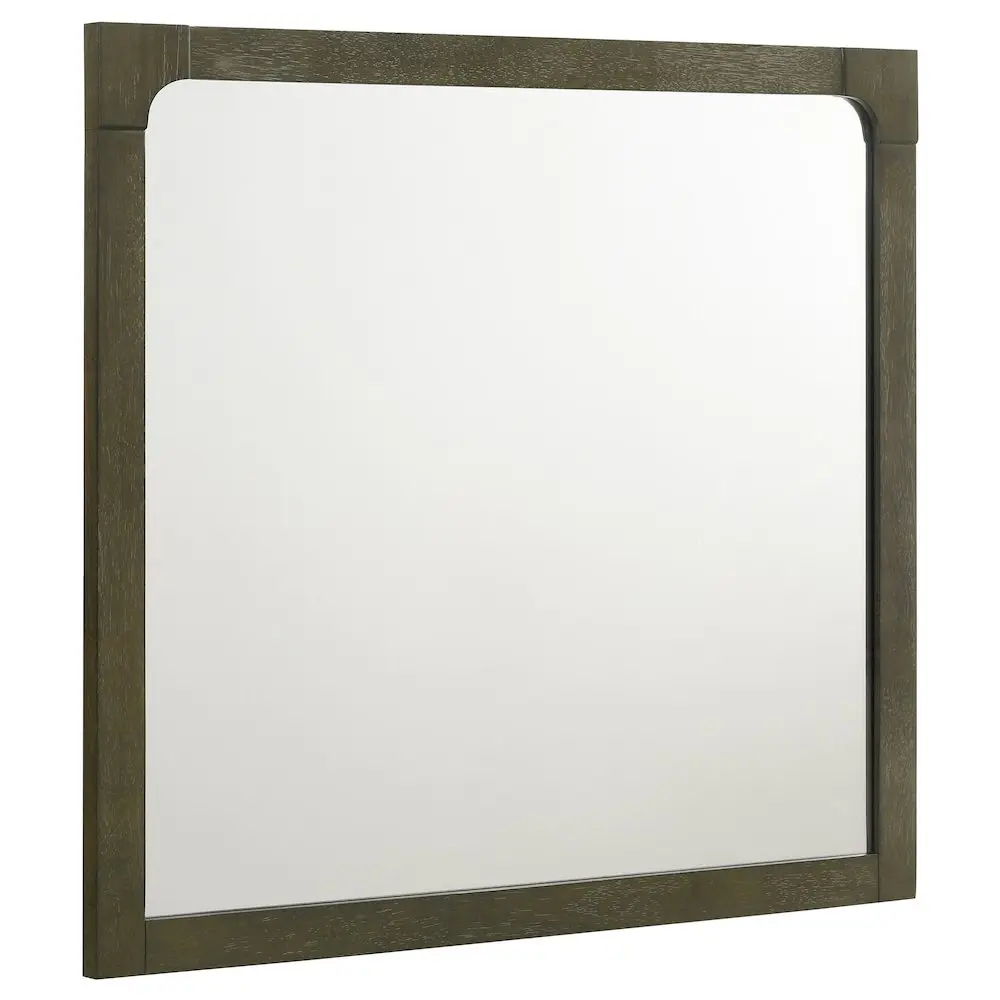 Gran Park Dresser Mirror, Dark Cocoa, Elegant Transitional Room Decor for Sturdy Vanity Setup
