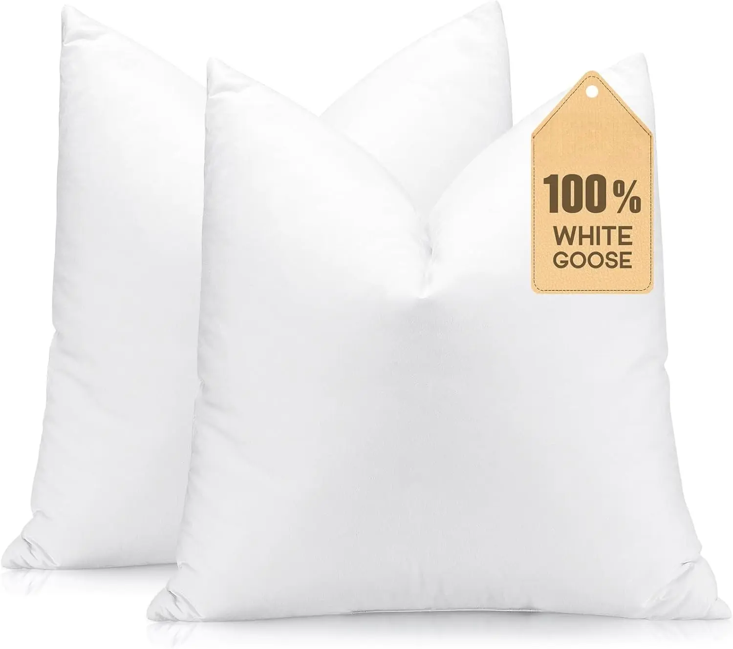 Set of 2 Down and  Throw Pillow Inserts 18x18 Soft Fluffy Pillow Inserts with  Down-Proof Cotton Cover, Decorative Square Cushion Inner for Sofa Couch Bed-White