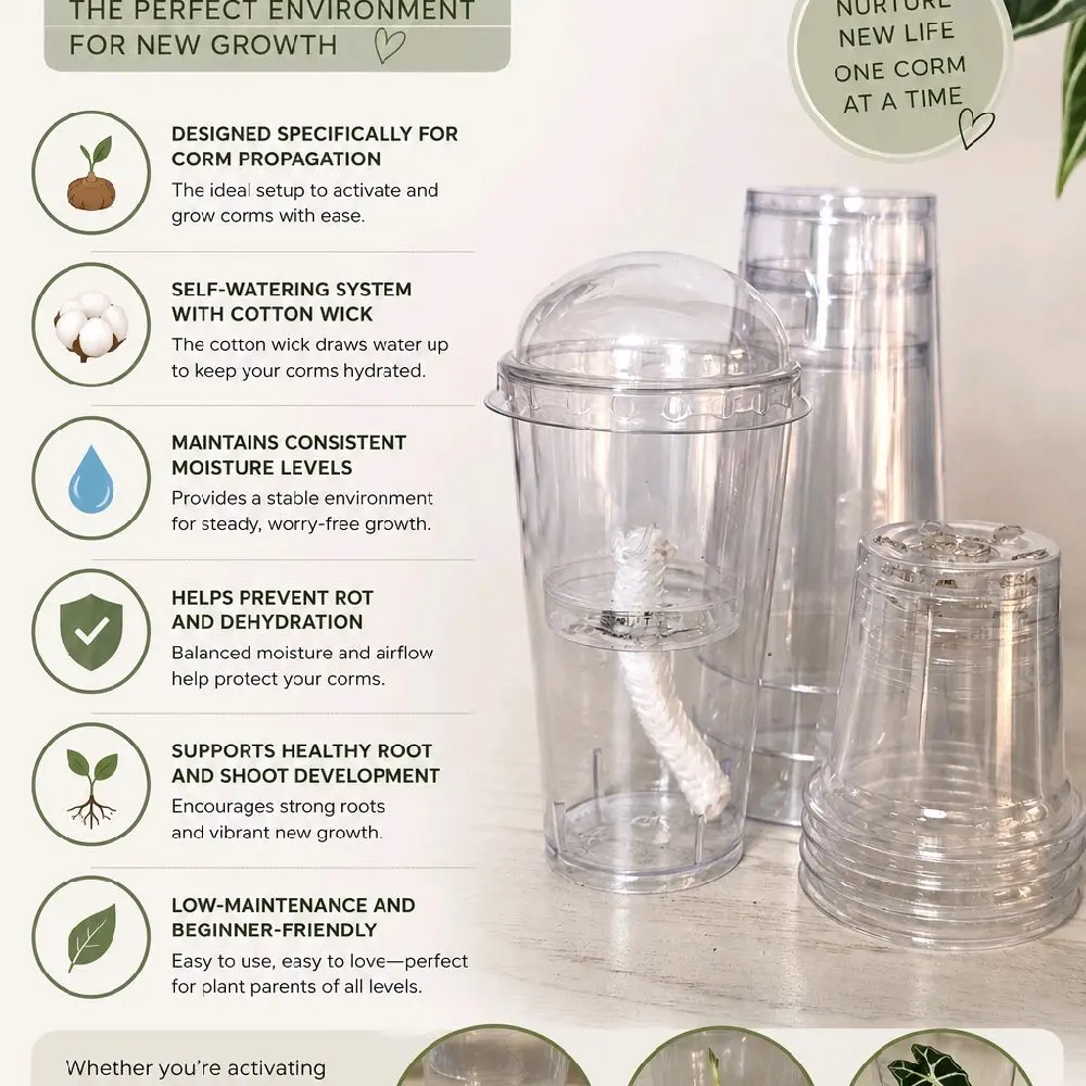 Clear Self Watering Corm Cups with Dome Lids Propagation Colocasia Consistent Moisture Cotton Wick Plant Garden Sprayer