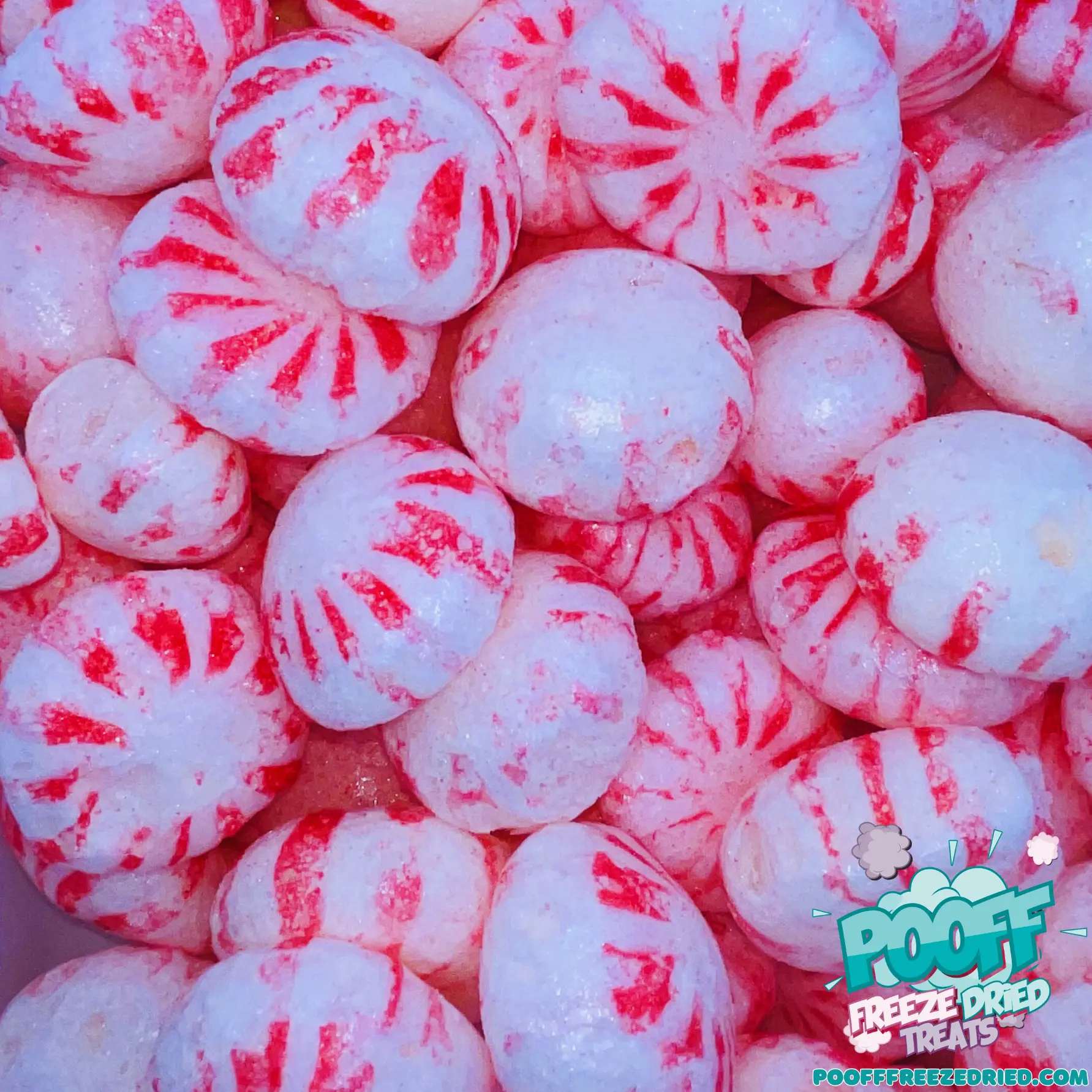 Freeze Dried Peppermint Starlight Mints Freeze Dried Peppermint Starlight Mints