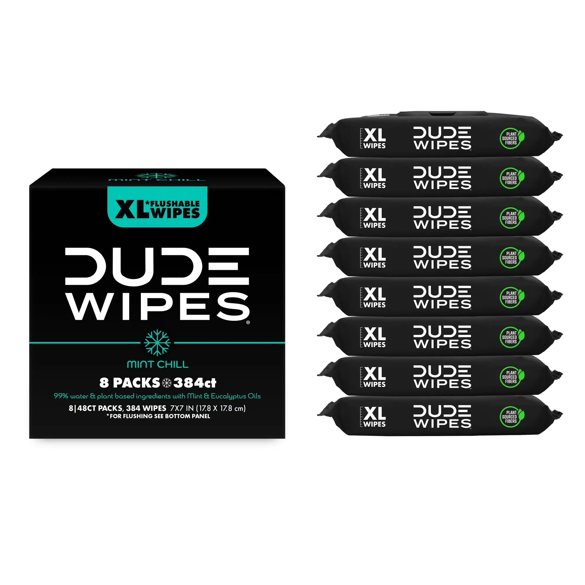 DUDE Wipes Mint Chill, Extra Large Flushable Wipes, 48 Count, 8 Pack (384 Total)(Select for More Options) Toilet