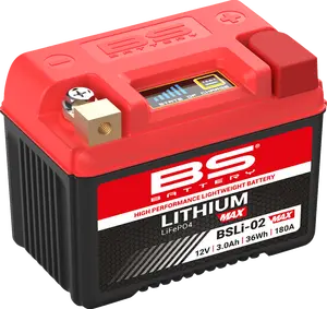 BS BATTERY Lithium Max LiFePO4 Battery