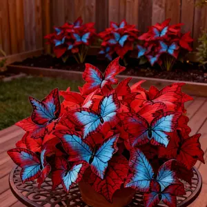 Butterfly Leaf Hosta Seeds 800 Unique Resembling Wings Perennial for Shaded Gardens Borders Under Trees Walkways Easy Grow Shade Lover