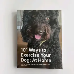 101 Ways To Exercise Your Dog At Home