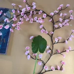 review image 6