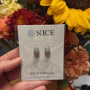 Nice & Bella Silver Teardrop Crystal Earrings for Adults Elegant and Stylish Jewelry Accessory