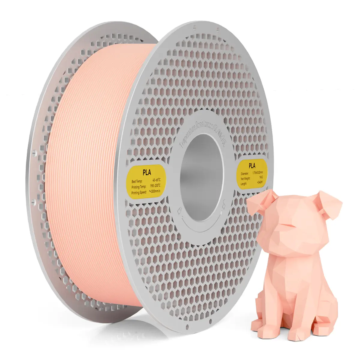 Complexion [PLA-1KG]