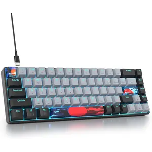 Portable 60% Gaming Mechanical Keyboard, Mini Compact RGB Backlit 68 Keys Wired Office Keyboard with Red Switch for Mac/Win