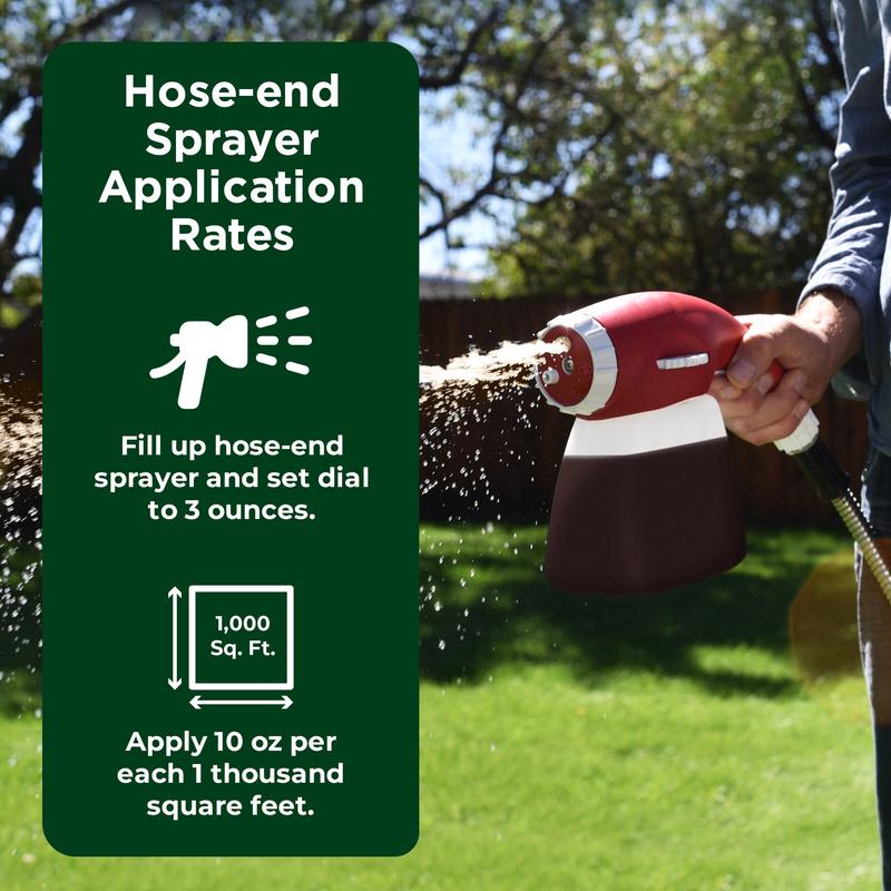 Lawn Food: 16-4-8 Complete Balanced NPK (32 ounce)