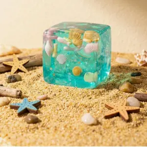 Cute Ocean Squishy Fidget Toy, Transparent Seaside Squeeze Toy with Shells, Stress Relief Sensory Toy for Kids & Adults，slime,fidget trading,jelly,needohs squishy toy