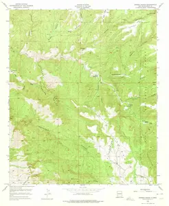 Dorsey Ranch New Mexico USGS Topographic Quadrangle Map, 1950, 1:24000