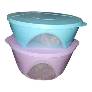Vision Bowl Set - Blue and Purple Bowls with Lids for Your Needs  sizes 4.3L an 2.5L