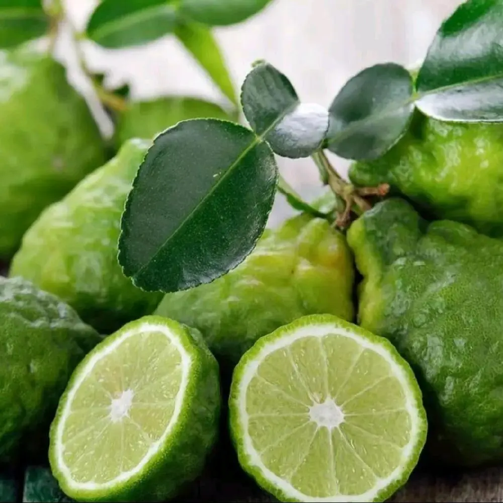 12 bergamot lemon