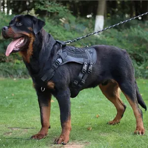 Large Dog Tactical Vest Harness, Multi-Functional Nylon Training Gear with Handle Leash, Durable Outdoor Equipment for Dogs, Safety Harnesses