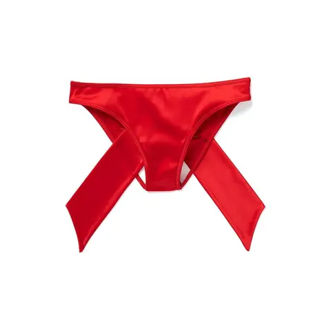 Gynger Bikini Dark Red Panty