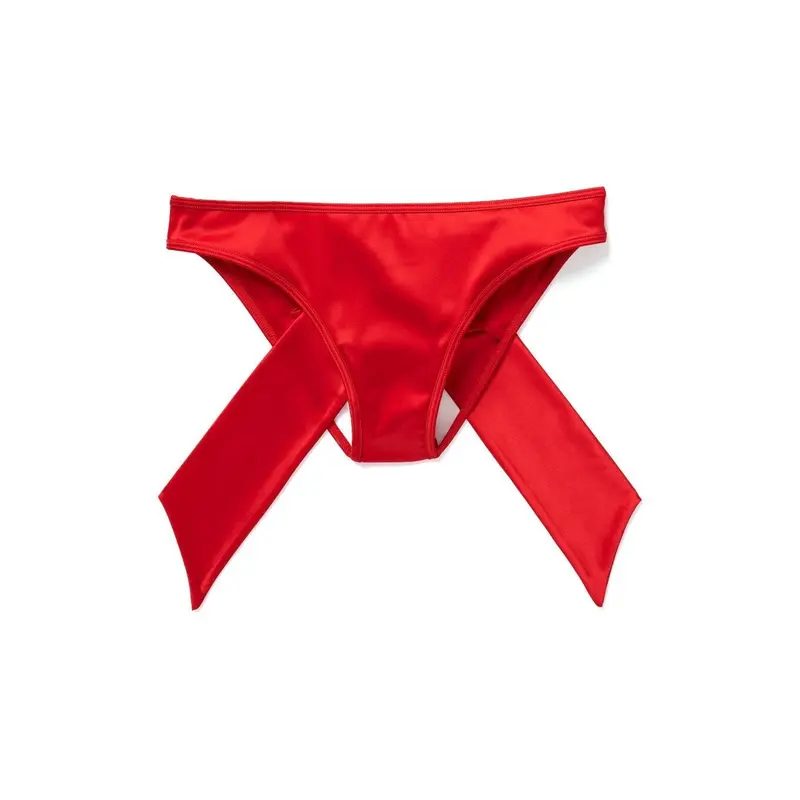 Gynger Bikini Dark Red Panty