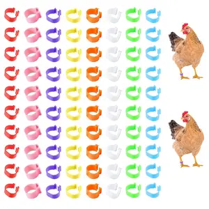 80pcs Colorful Chicken Leg Bands, Durable Plastic Poultry Foot Tags, Easy Identification Labels, Bright Colors, Suitable for Chickens Ducks Geese