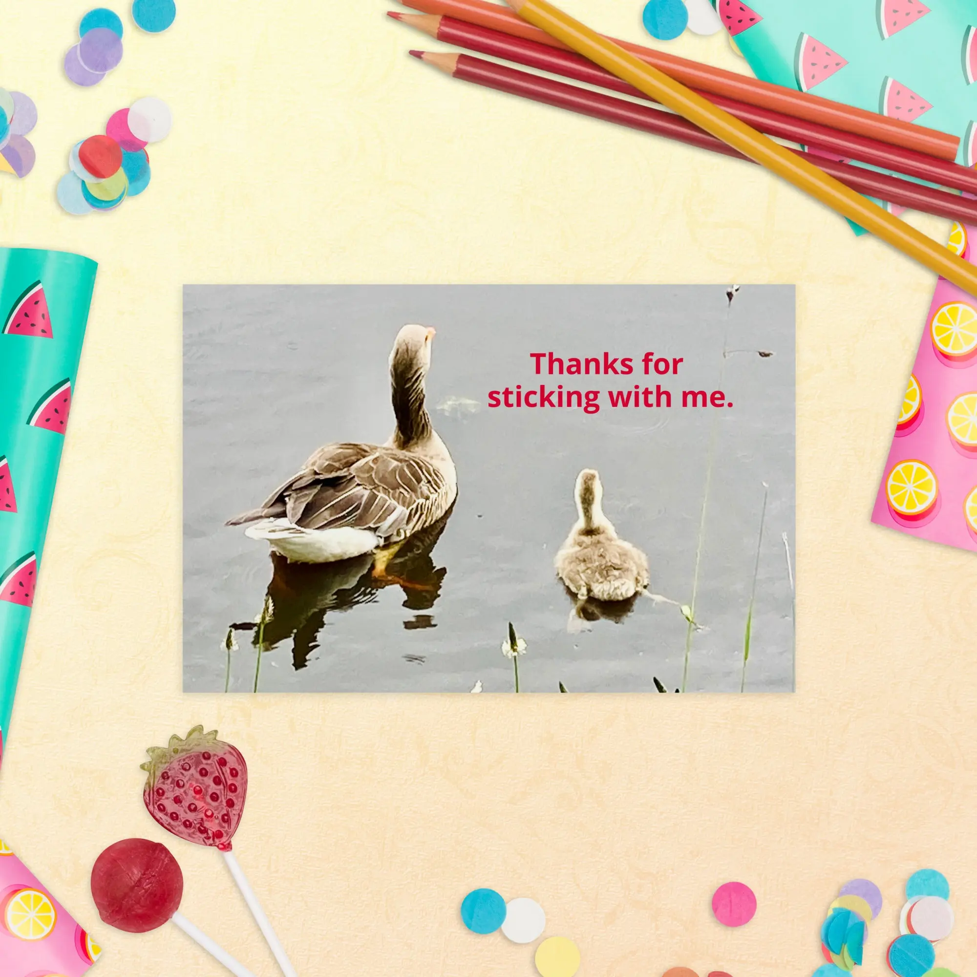 Duckies - Standard Postcard
