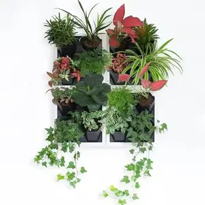 Vertical Wall Garden Planter, Live Photo Frame with 4-Pocket Indoor Plant Holder, Living Wall System, 12" x 12"