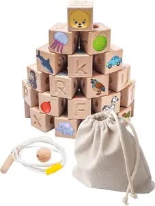 Bimi Boo Wooden Lacing Beads Cubes ABC Learning Set