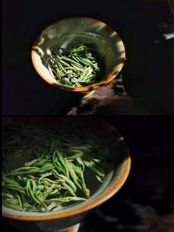 Tang Reserve Liyang Premium White Tea (50g/box) - Yixing China Spring 2025 Handpicked Tender Buds Natural Sweet Flavor Gluten Free Healthy Choice