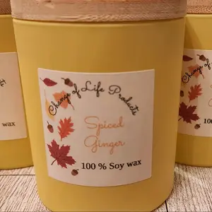 Spiced Ginger Scented Candle Organic