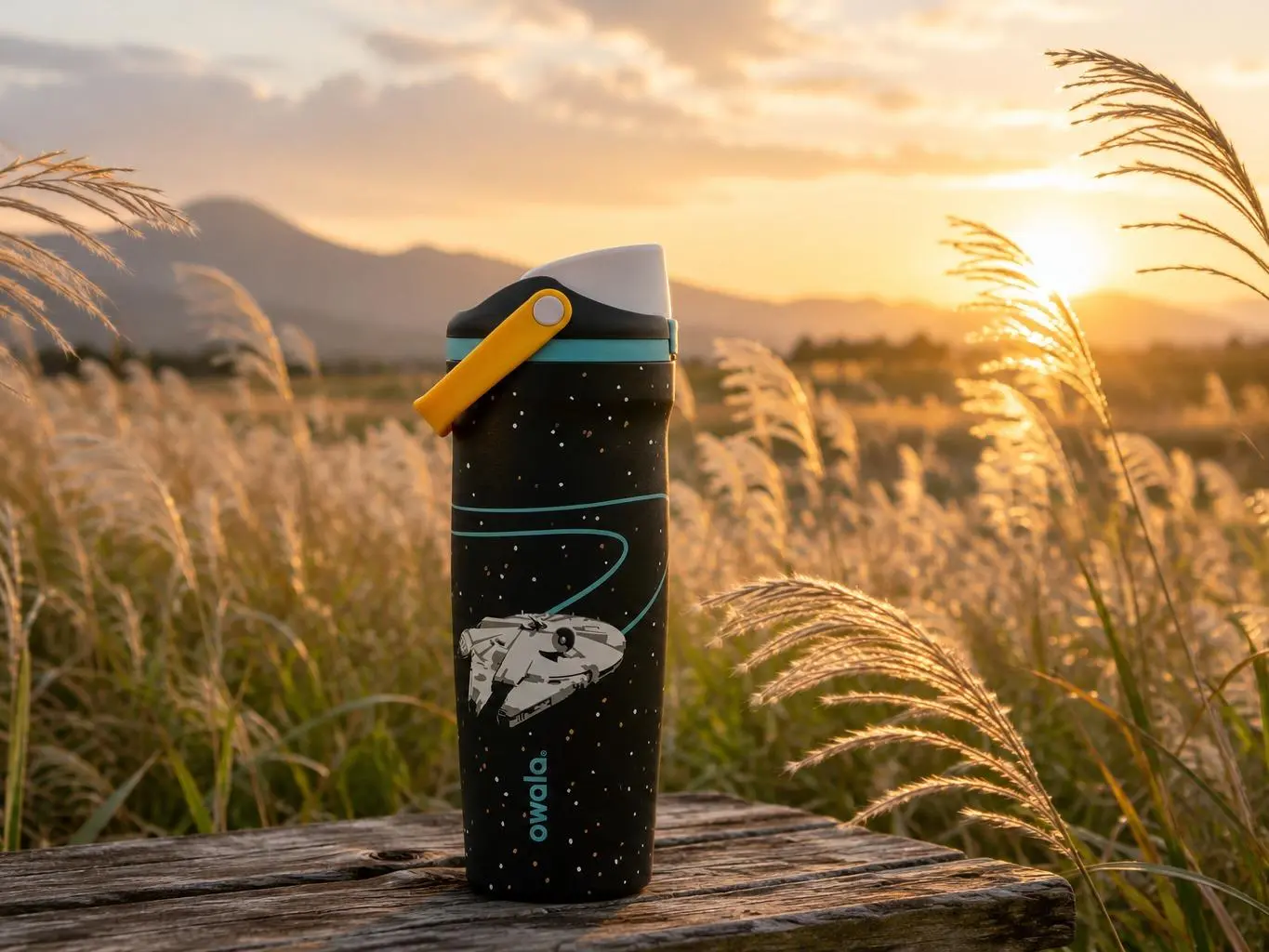 New Owala FreeSip 32oz Stainless Steel Water Bottle, Picnic Prep Limited Edition UO Exclusive Blue Pink, Leakproof Insulated Sports Bottle with Straw Lid