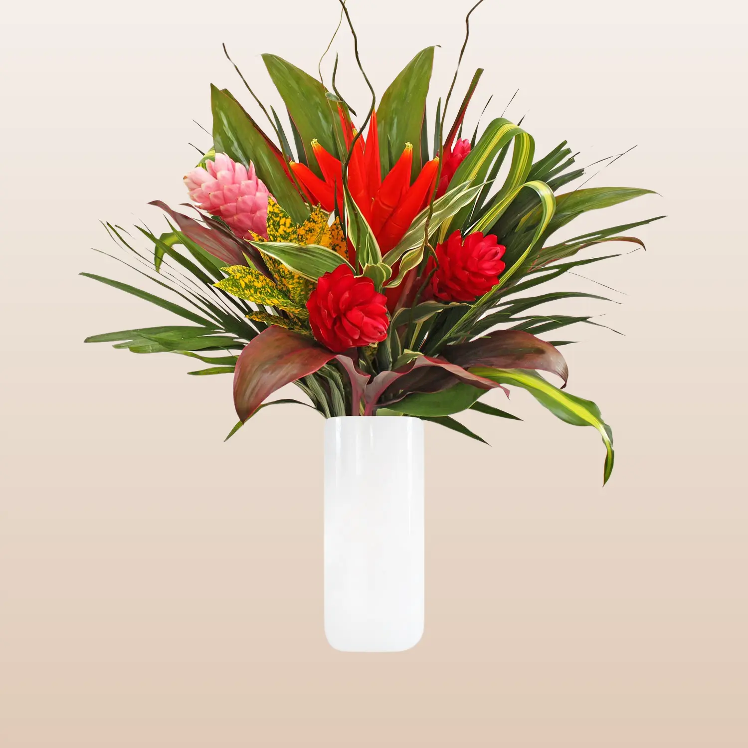 Aroma Tropical Bouquet - Confetti Tropical Bouquet for Romantic Souls - Vibrant Tropical Blooms & Lush Greenery - Ideal for Value-Conscious Customers - Vase Not Included