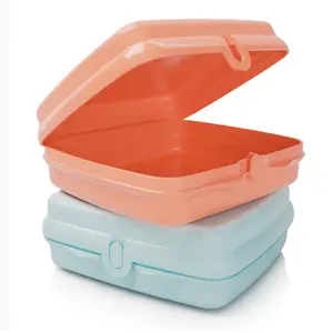 Tupperware Sandwich Keepers Set of 2 - Easy-Open BPA-Free Eco-Friendly Lunch Boxes with Snap Clasp for Adults & Kids School Work Travel PP Material Keeps Sandwiches Fresh