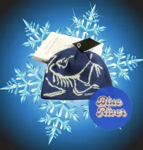 Arc'teryx Knit Beanie Premium Winter Hat Bird Head Outdoor Streetwear Unisex Cozy Everyday Wear