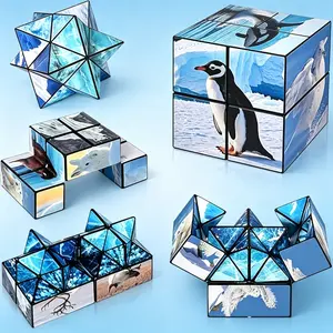 Frozen Antarctic Animal Print Infinity Cube Set, Foldable Transformable Star & Square Fidget Puzzle, Stress Relief Sensory Desk Toys for Boys Girls Holiday Gifts