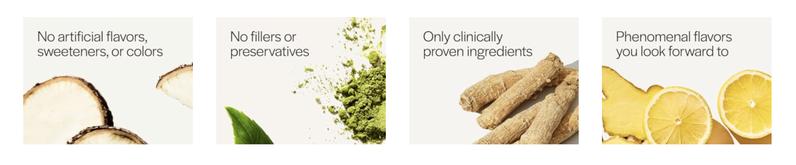 Gainful Everyday Plant Protein Supplement Powder 23g per Serving Unflavored Supports Strength Muscle Recovery Balanced Nutrition Vegan Gut Friendly No Artificial Ingredients 14 Servings for Optimum Healthcare and Performance