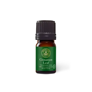 Cinnamon Leaf Essential Oil Aromatherapy and Wellness Therapeutic Solution
