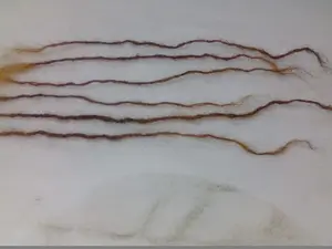 100% Human Hair Handmade Dreadlocks 6 Parts 20.3-35.6cm Sisterlock Replacement