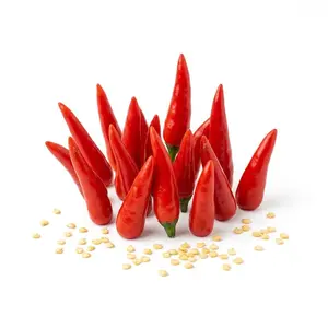 500 Facing Heaven Pepper Seeds for Planting - Spicy, Fiery & High Yielding Chili Seeds for Home Garden - Authentic Asian Chao Tian Jiao