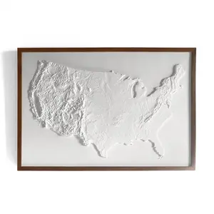 USA - White 3D Raised Relief Map Decor Plastic