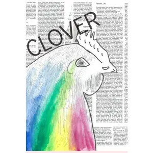 USED-Clover: A Literary Journal by The Montessori School of Raleigh (Paperback)