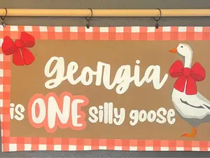One Silly Goose Hand Painted Banner ONE silly goose 35x42” Hand Painted Design with Red Bow & Gingham Border
