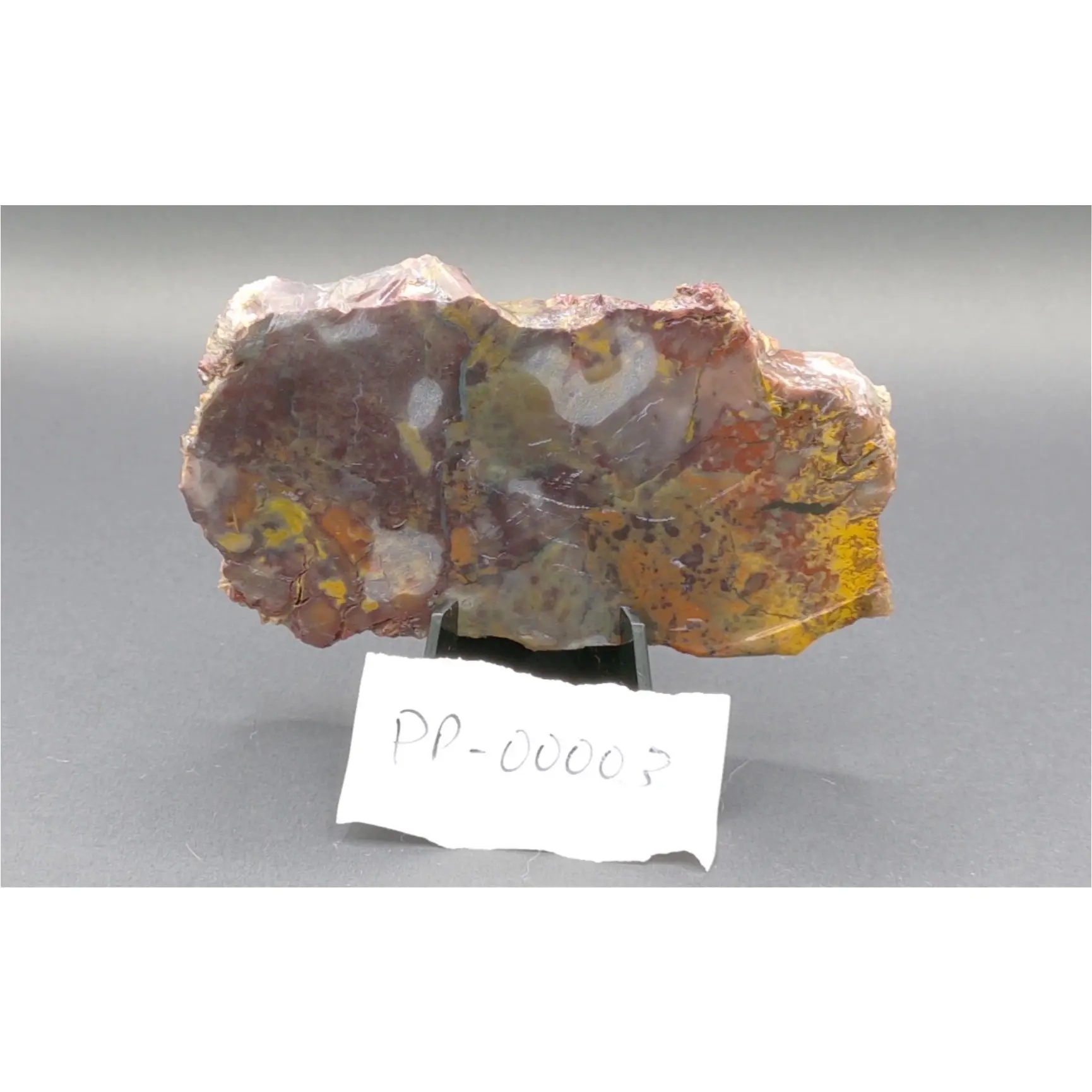 Hand-Collected Jellybean Brecciated Jasper Slab - Natural Edges, 0.25in Translucence, Good Working Thickness for Cab Doming, Haystack Butte Oregon Lapidary Rough, Ideal for Cabbers with Beautiful Polish & Durable Color Zones