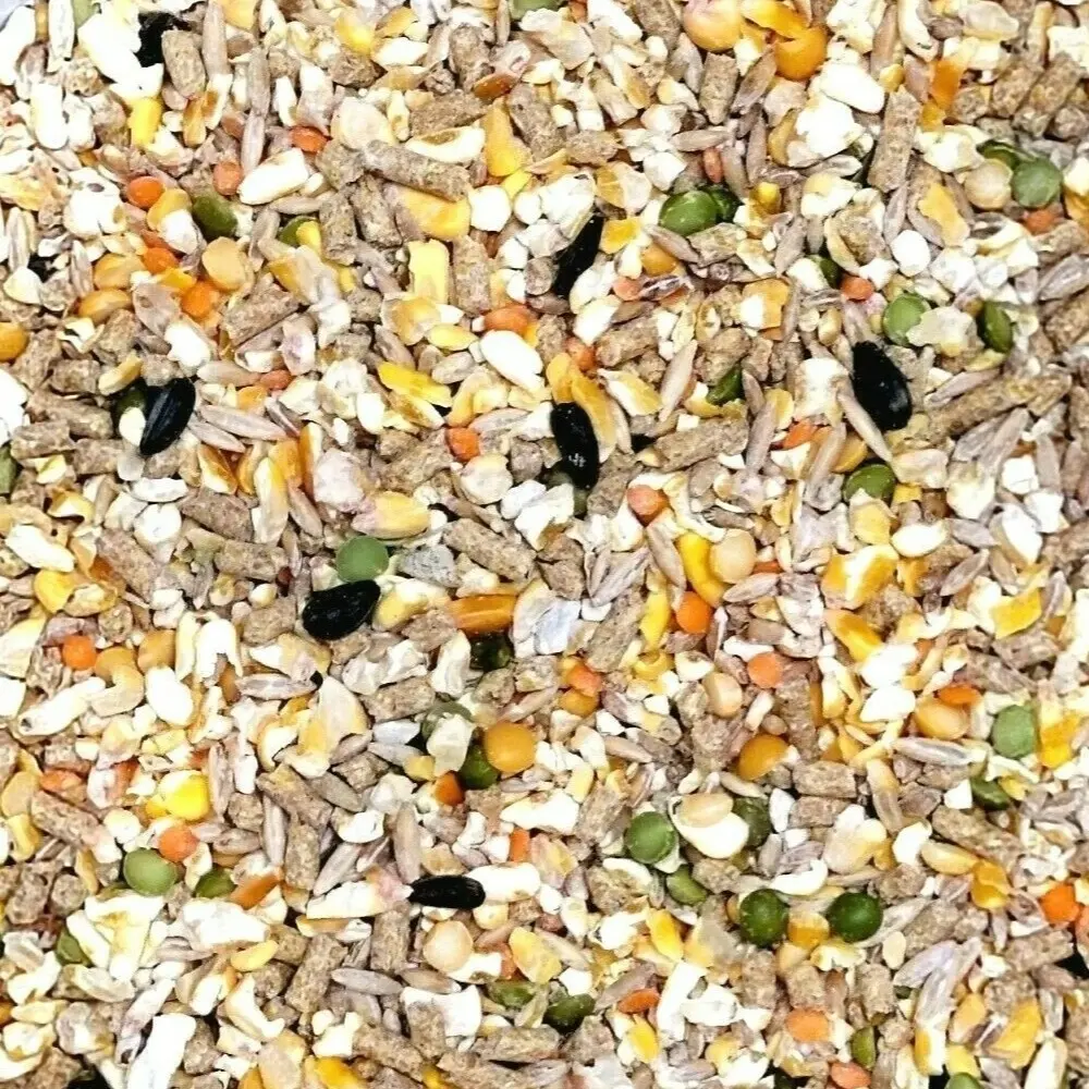 9lb Premium Multiuse Feed Grains with Pelleted Food Oyster Shell Calcium Omega 3 6 for Chicken Duck Wild Birds Rabbit Hamster Pigeon Mice