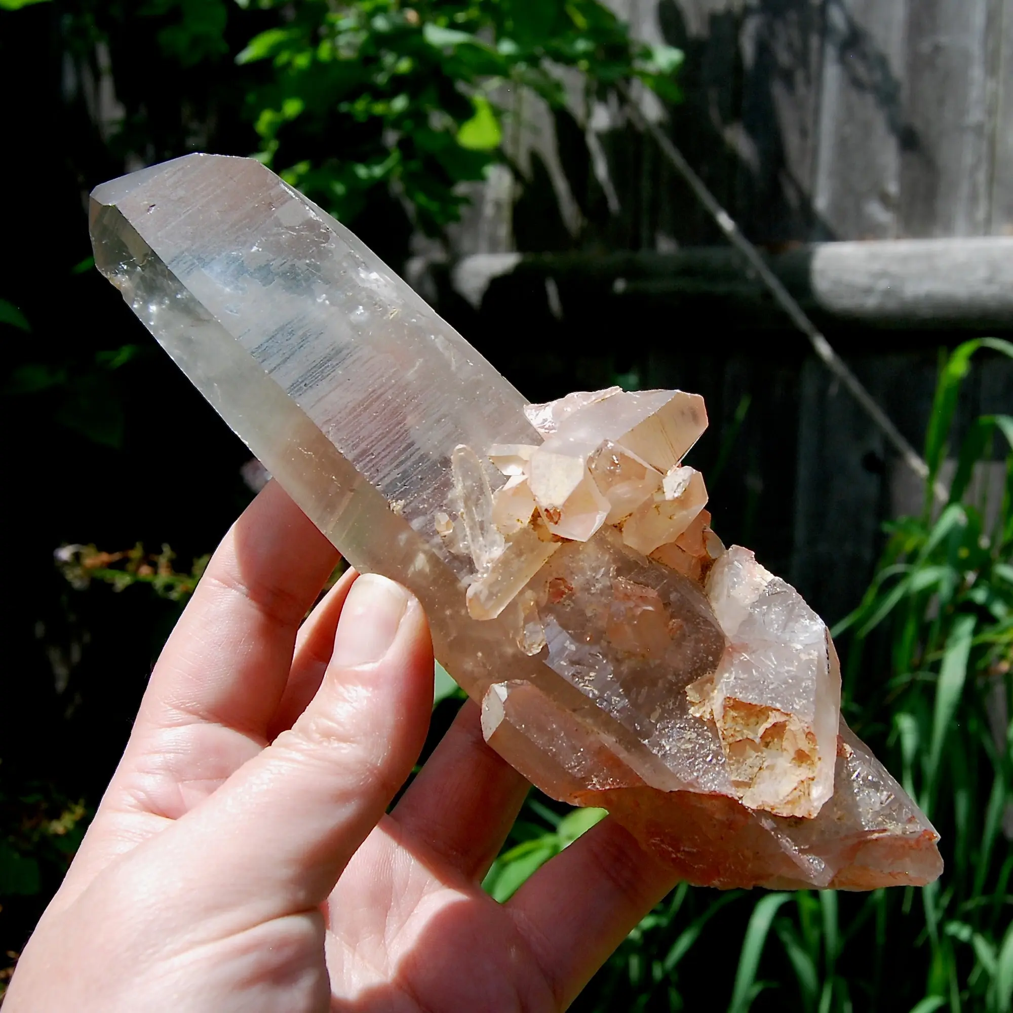 7" 395g Channeler Cross Pink Shadow Smoky Lemurian Seed Quartz Crystal Starbrary Cluster, Brazil