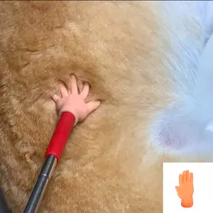 Retractable Wand Toy for Cats & Dogs – Interactive Pet Self-Entertainment Stick with Grooming Glove, Long Handle Design