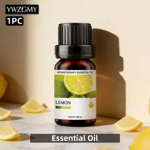 Single Bottle Flat Head Essential Oil, Fragrance Oil, Aromatherapy Scented Oils, Flower Fruit Scent, 10ML, for Aromatherapy Stones, Candles, Diffusers, Humidifiers, Home & Car Air Freshener