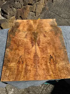 “The Keith” Curly Mango Electric Guitar Carved Drop Top 2@23 1/4”x10”x7/16 (10mm)”