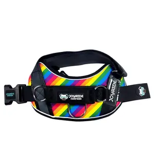 Joyride 2.0 Rainbow B-Grade Outlet - Easy On No Pull Dog Harness for Small Dogs – Jack Russell Terrier – Reflective – Side Rings – Strong Durable Handle – 13 personalized tags included