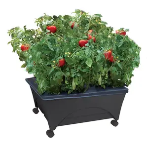 City Pickers 7037074 11 x 24 x 20 in. Resin Garden Bed - Charcoal