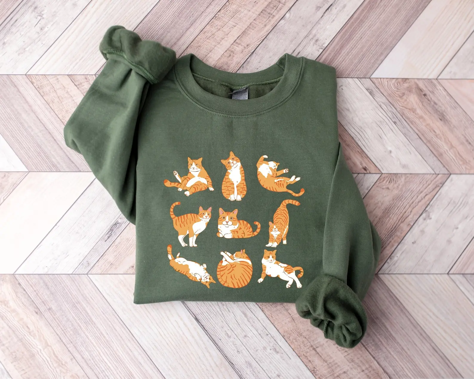 Cute Orange Cat Sweatshirt Hoodie Tshirt, Crazy Cat Lady Shirt, Gift for Women and Men, Family, Bestfriend