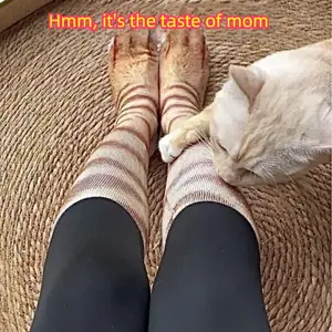 Autumn Winter 3D Animal Socks Cat Paw Socks Dog Paw Socks Interactive Boredom Reliever Versatile Funny Cat Socks Funny Dog Socks Quirky Socks Unisex gym stuff「 Furry, Fun, And Perfect For Cozy Days & Pet Play」